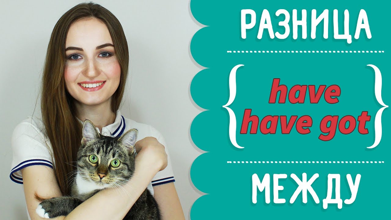Разница между HAVE и HAVE GOT - English Spot