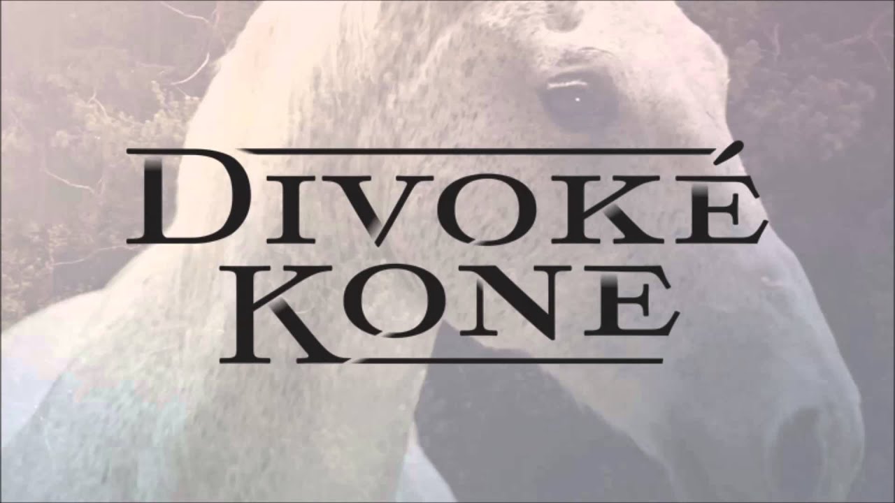Divoke Kone - Odhodlanie (Wild Horses - Determination)