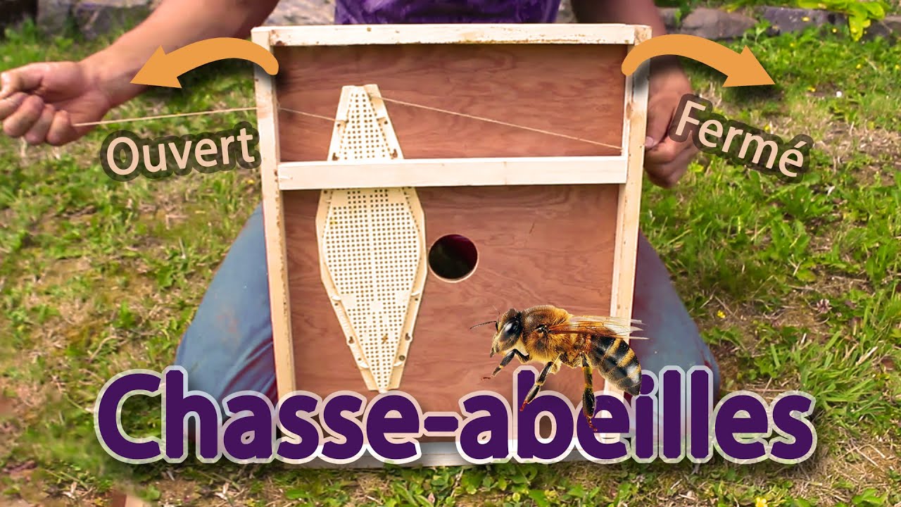 Fabrication chasse-abeilles et amélioration du fonctionnement.