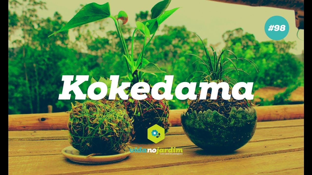 Como fazer e cuidar do kokedama