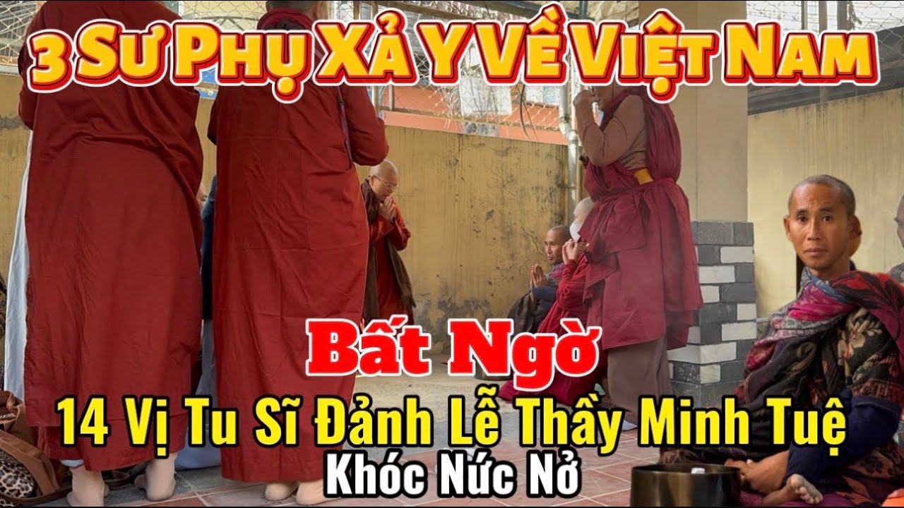 Bất Ngờ 14 Vị Tu Sĩ Đảnh Lễ Thầy Minh Tuệ Khóc Nức Nở | 3 Sư Phụ Xả Y Đảnh Lễ Về Việt Nam #suminhtue