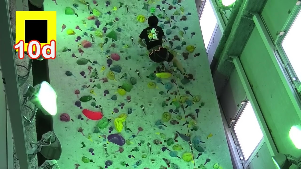 【吉野CCデモ】【I.R.左】黄黒10d