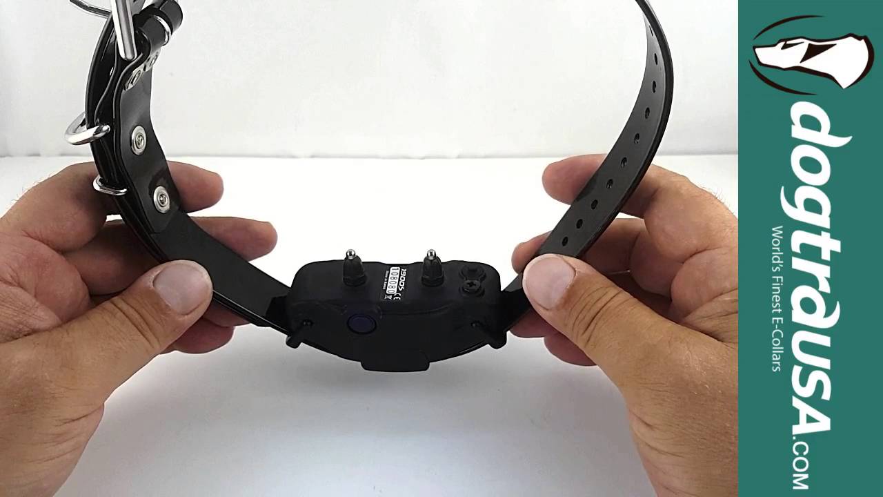 Dogtra 1900S Review - DogtraUSA.com