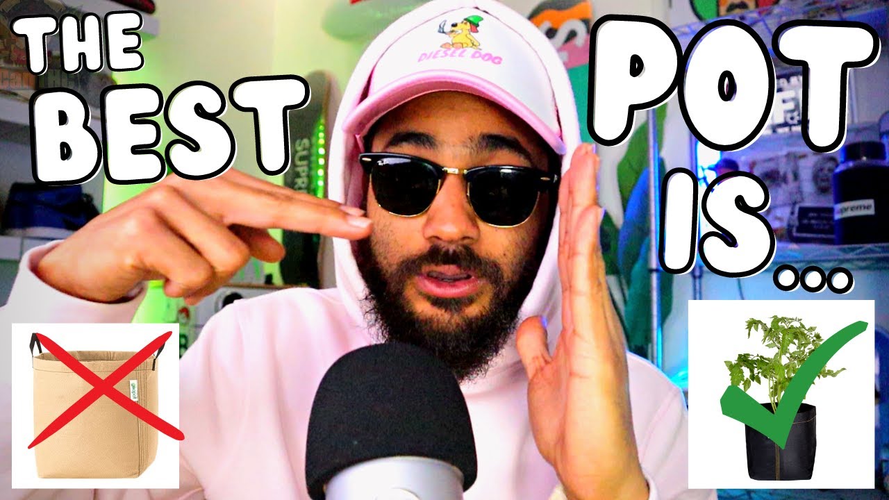 Fabric Pots vs Plastic Pots... which is really better? 🤔