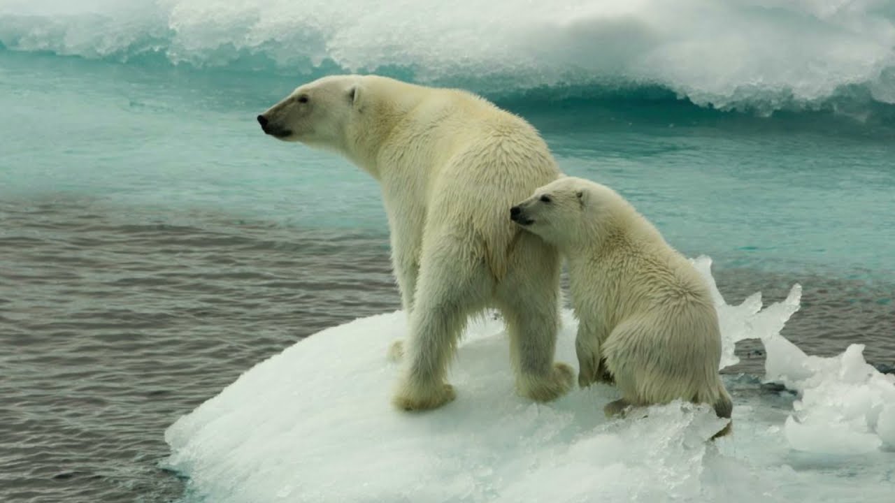 SANATIONE: A Time For Healing / Climate Change Calling / Trailer