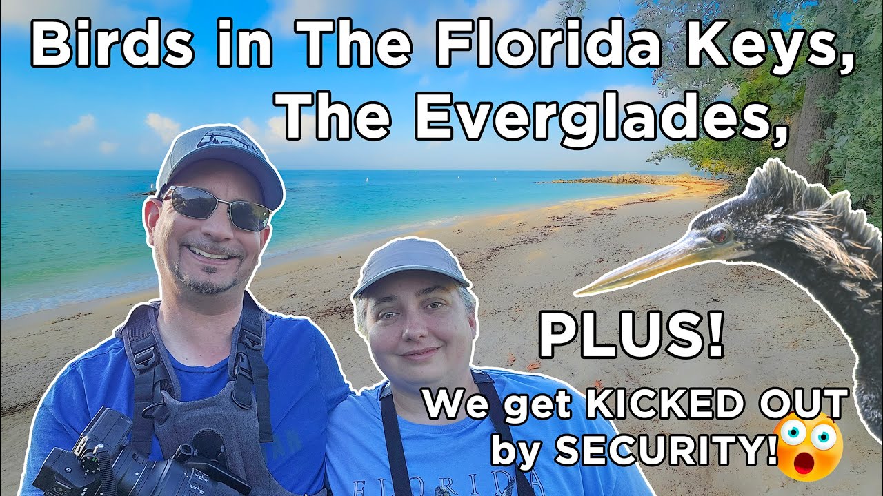 Birds in The Florida Keys and The Everglades Plus We Get Kicked Out by SECURITY