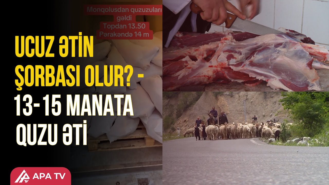 Monqolustandan gətirilən quzu əti niyə ucuzdur? – APA TV