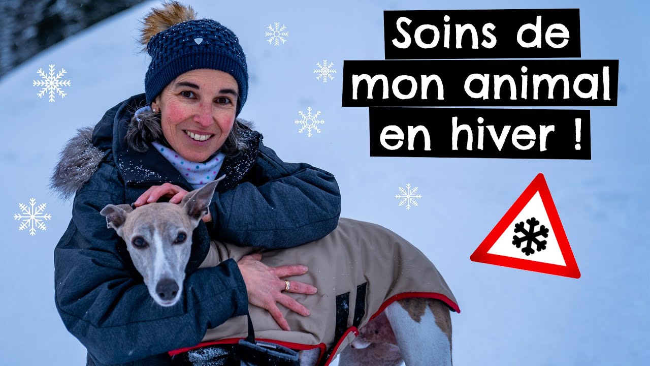 Soins de mon animal en hiver !