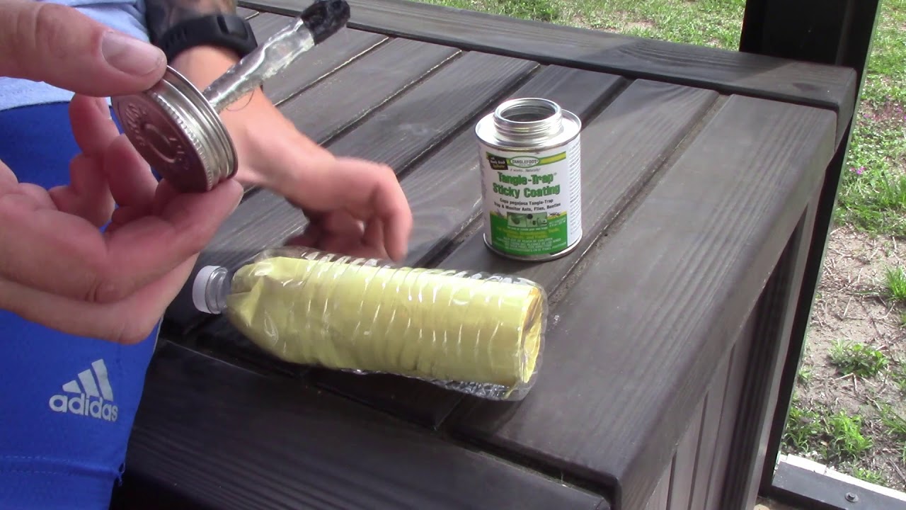Homemade 360 degree Yellow Sticky Trap