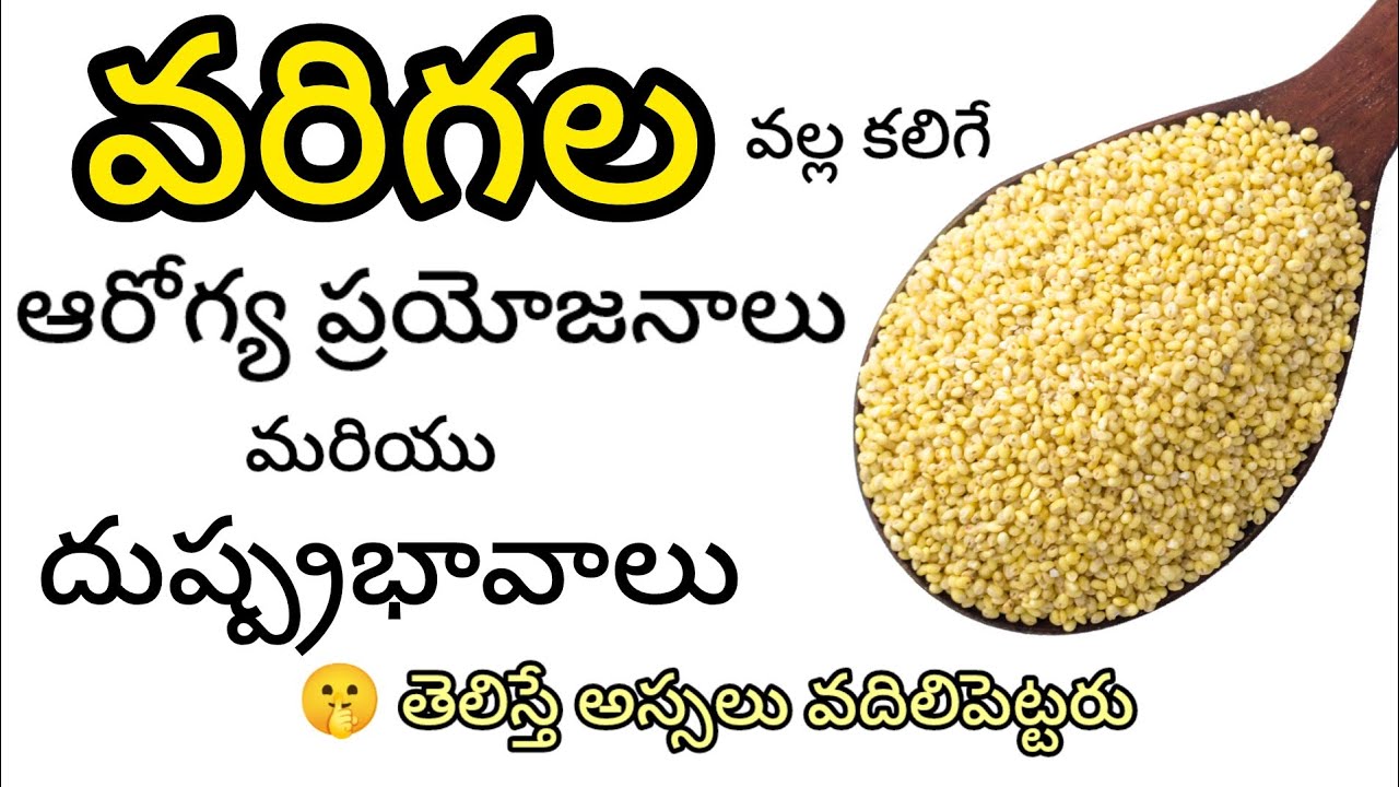 వరిగల గురించి మీకు తెలియని నిజాలు l Proso Millet l #sideeffectsofprosomillet #varigalu