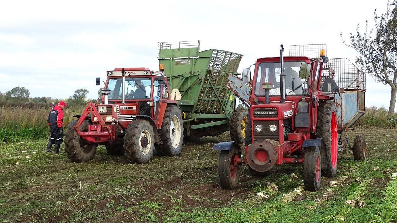 Roedag på Rendebjerggård, DVTK Vestfyn, lørdag 11 oktober 2025 🇩🇰🚜