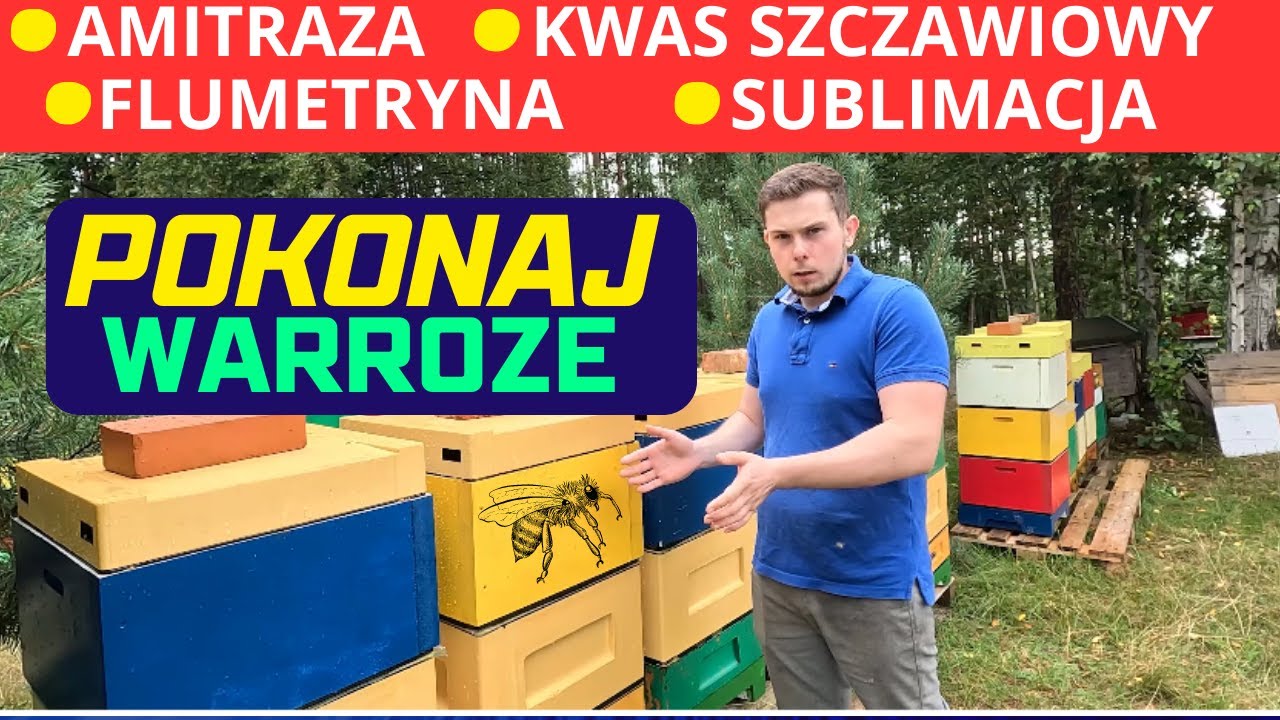 Metody leczenia pszczół z warrozy. Co używam, jak i kiedy?