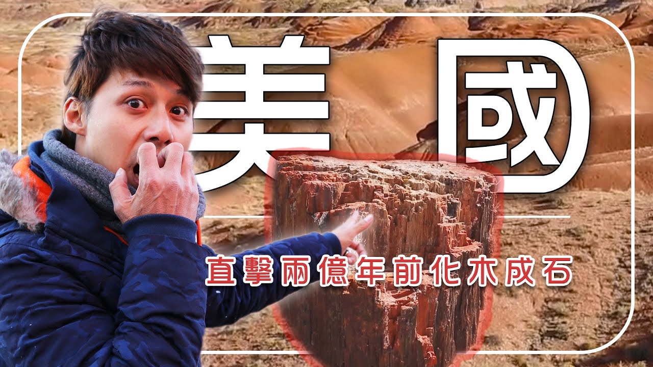 2026美國旅遊【亞利桑那州必去推薦】廖科溢直擊兩億年前化木成石的絕美奇蹟！｜#廖科溢  #石化林 #世界之最 #U.S. Route 66