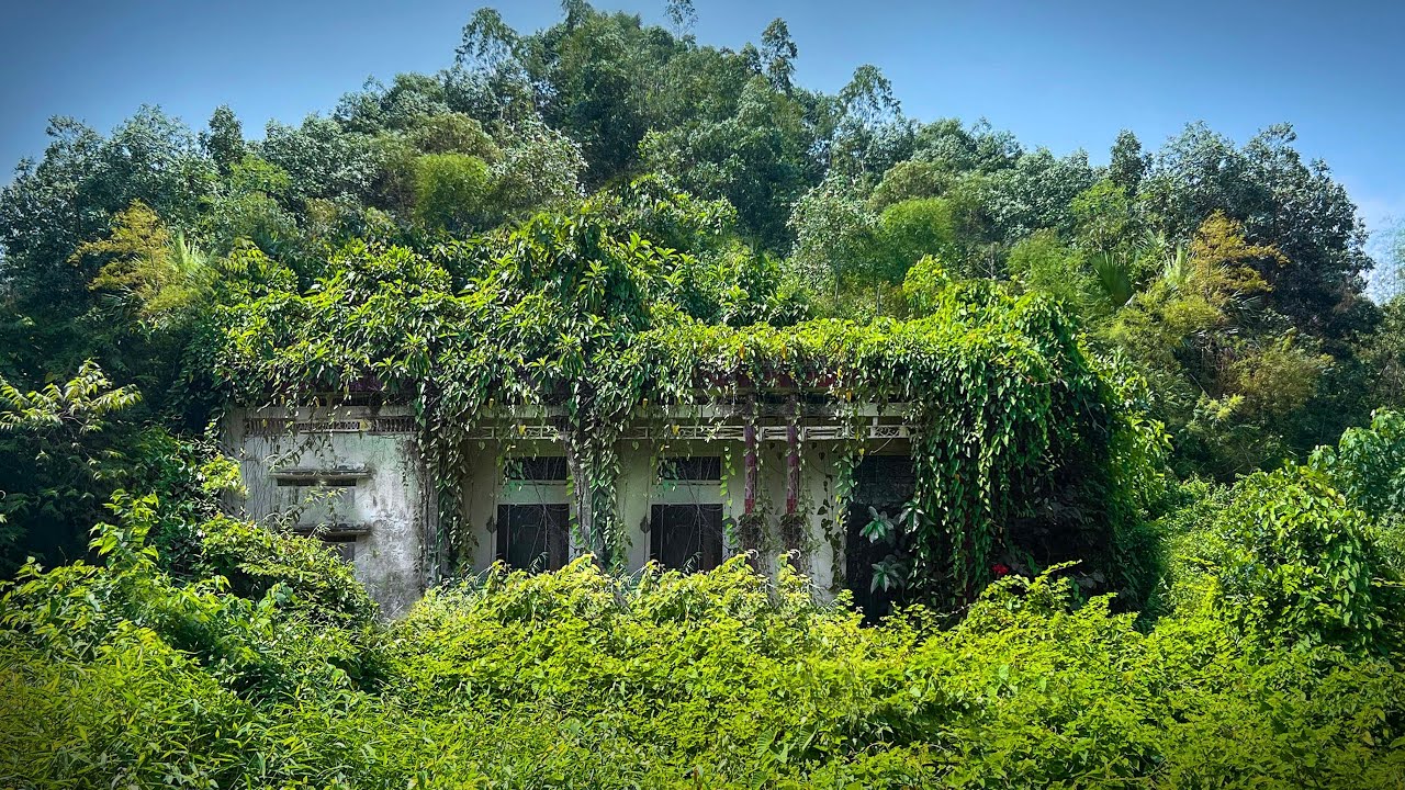 SHOCKED, 70 Years can't CLEAN the VILLA. The Old LADY lives in an Abandoned VILLA | Clean Up - Ep.18