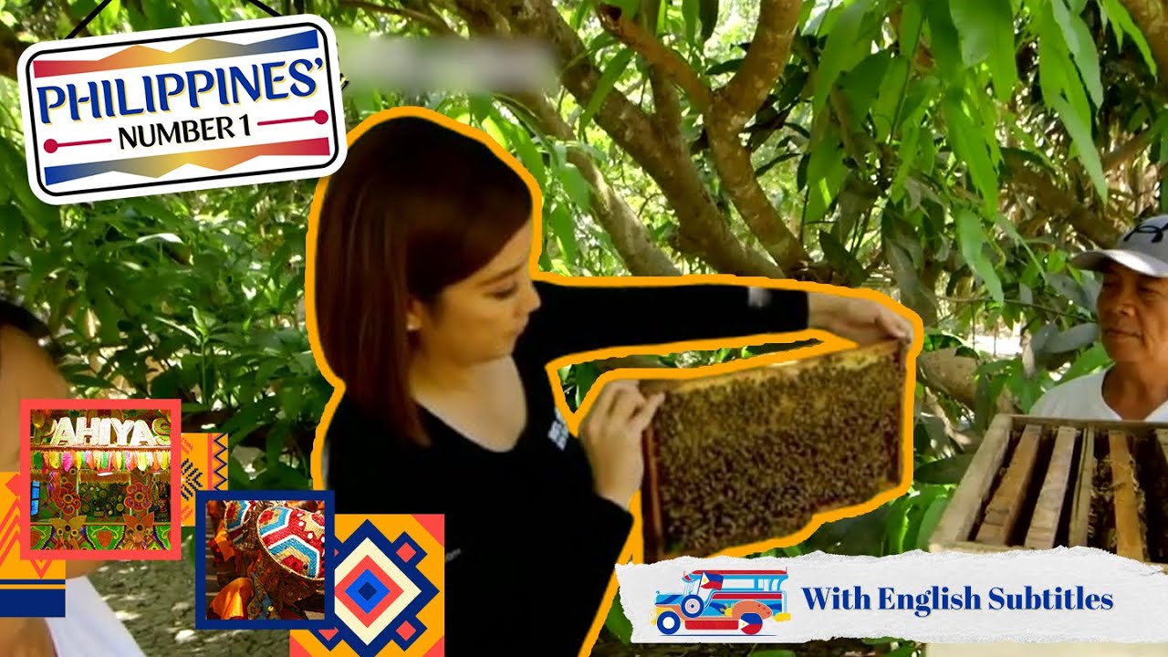 BEE READY for a sweet honeycomb harvesting adventure in La Union! | Philippines' Number 1