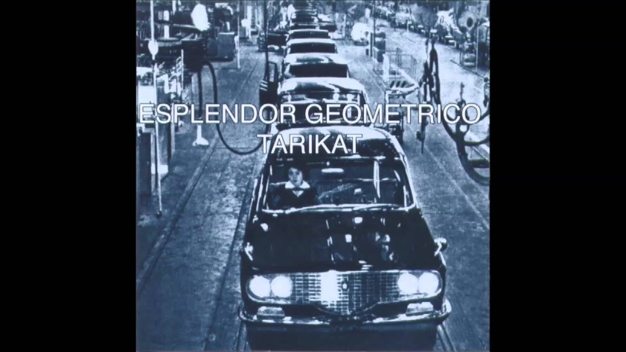 Esplendor Geométrico - Boabab