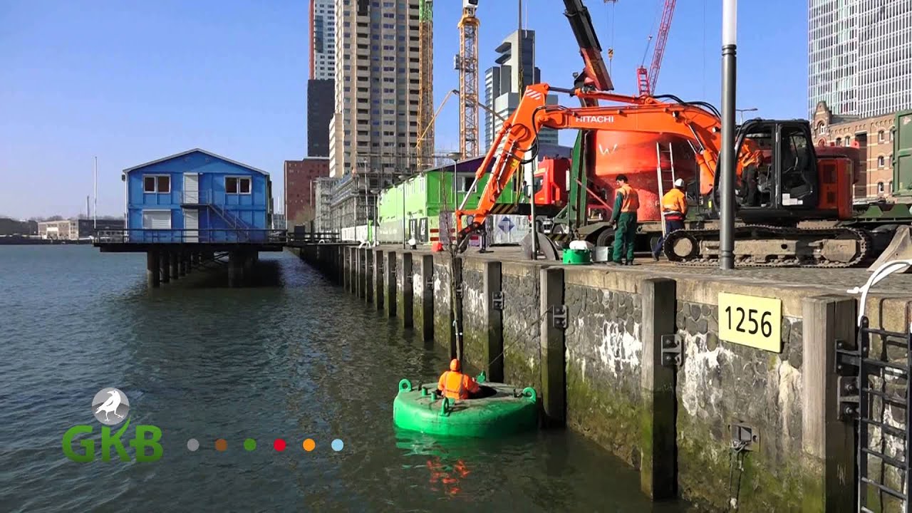 Dobberend bos Rotterdam Rijnhaven