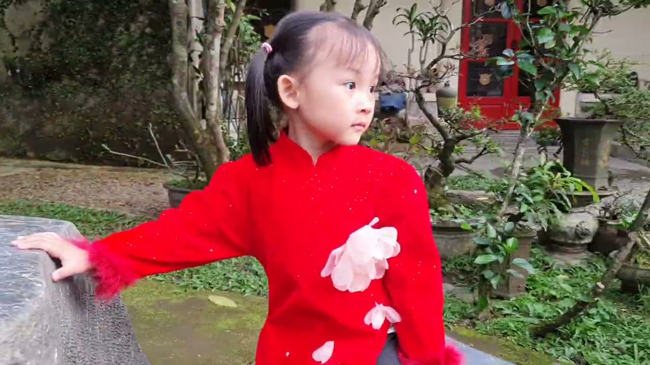 M3 TẾT
