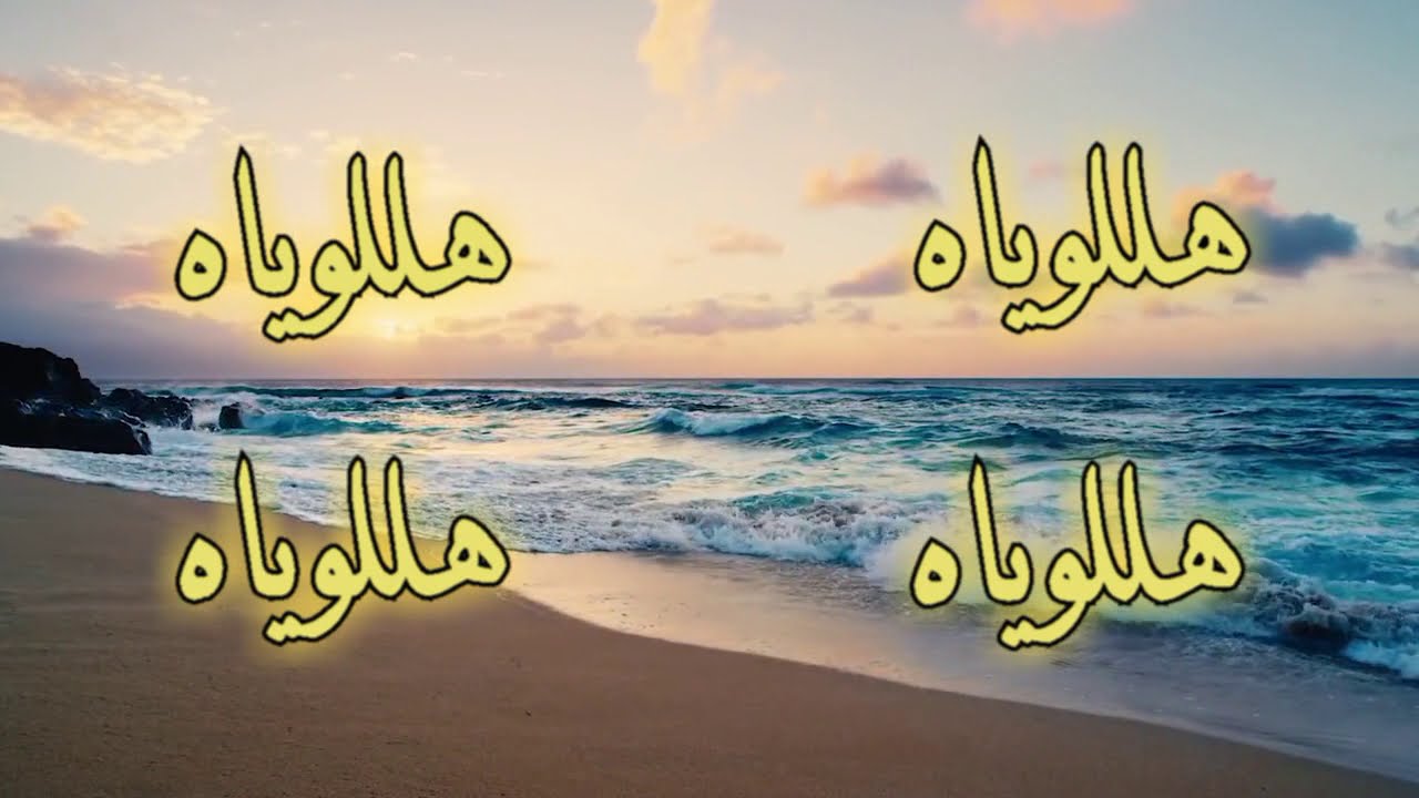 Doostat daram | Vahid  دوستت دارم | وحید