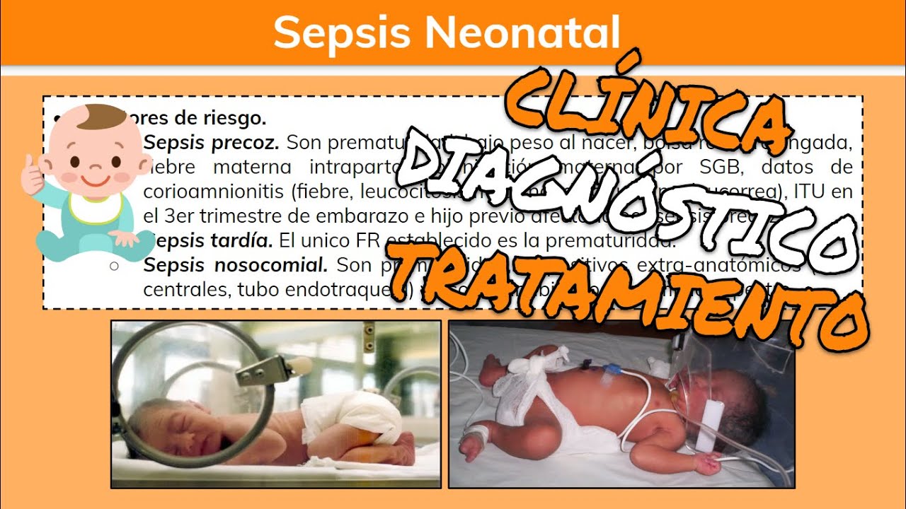 ⚕️🩺 Sepsis Neonatal Temprana y Tardía: Síntomas, Diagnóstico y Tratamiento