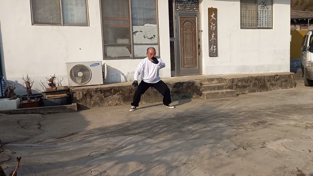 손식태극권(73식)