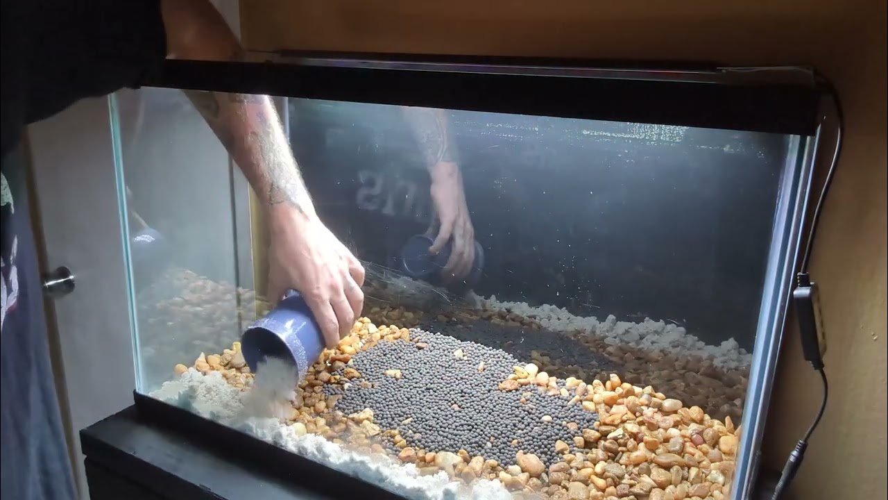 29 Gallon Tank Build