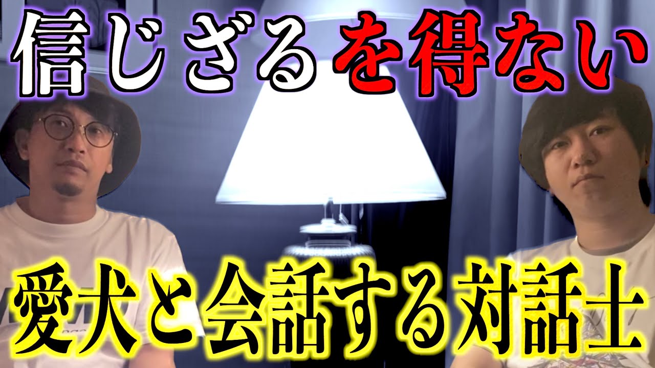 【衝撃】偽者と思ってたら…。信じざるを得ない⁉︎【動物対話師】