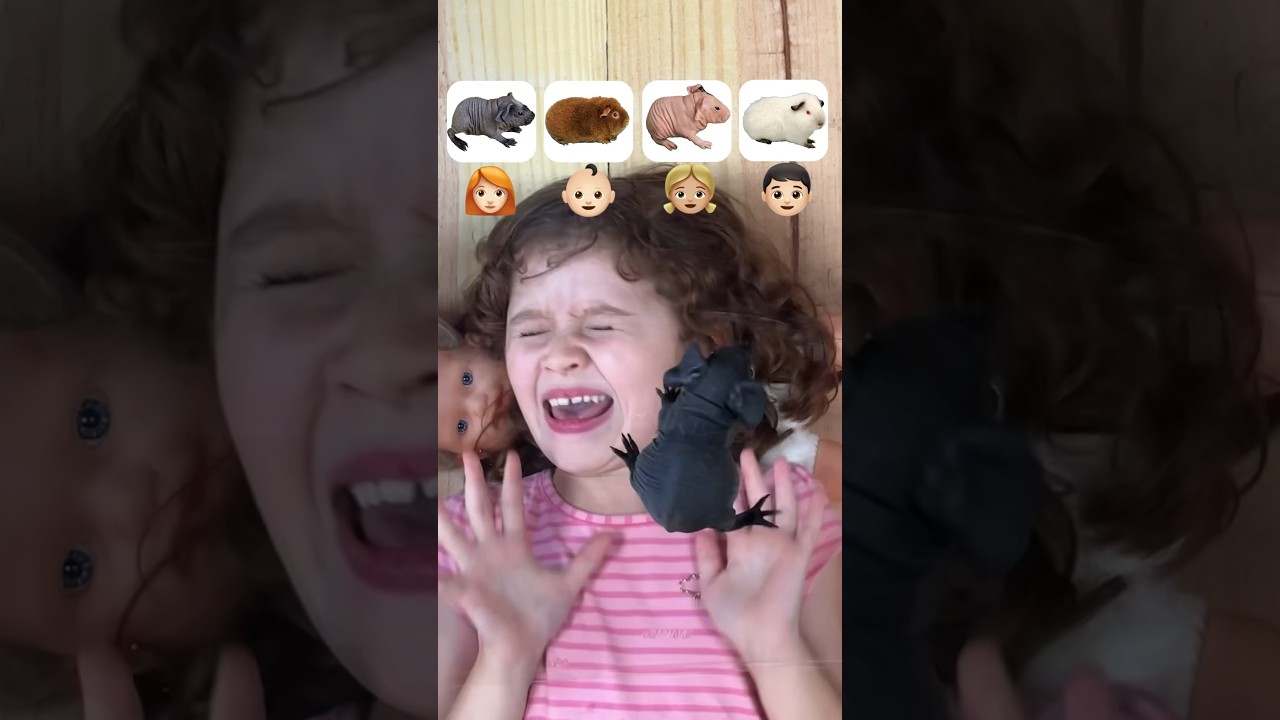 Quem vai assustar mais meninos ou meninas?!😱 