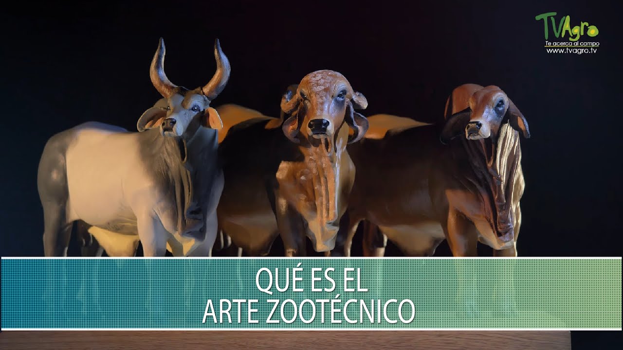 Que es el arte zootecnico - TvAgro por Juan Gonzalo Angel Restrepo