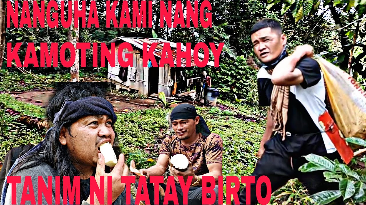 BINIGYAN KAMI NANG KAMOTING KAHOY NI TATAY BIRTO PARA MAY MAKAIN KAMI#viralvideo 