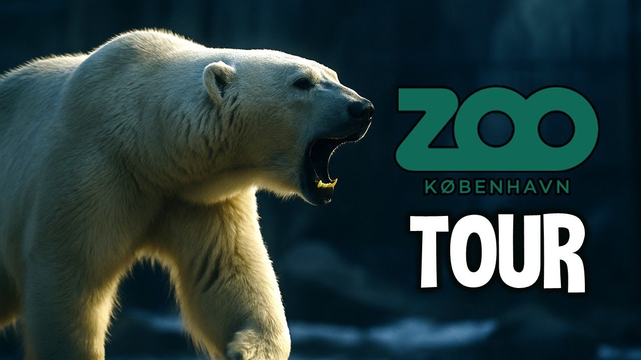 Vi Besöker København Zoo!!