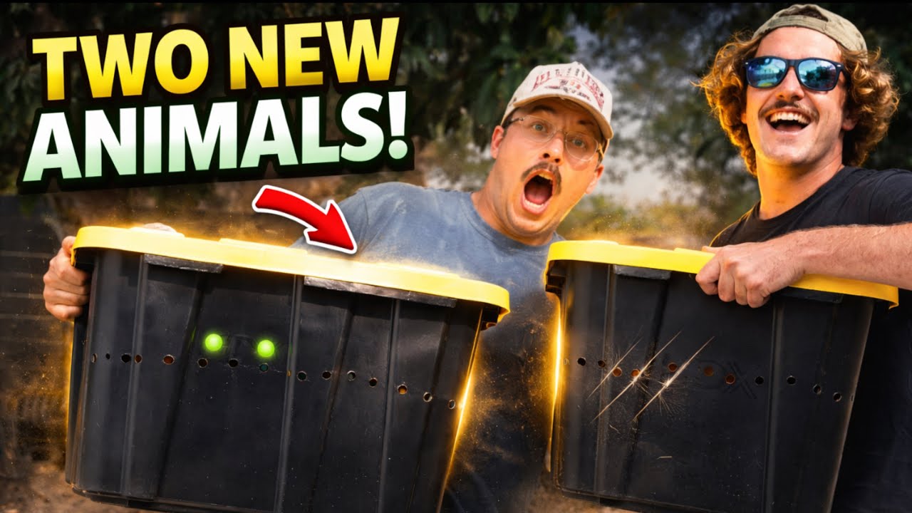 We got TWO NEW PETS
