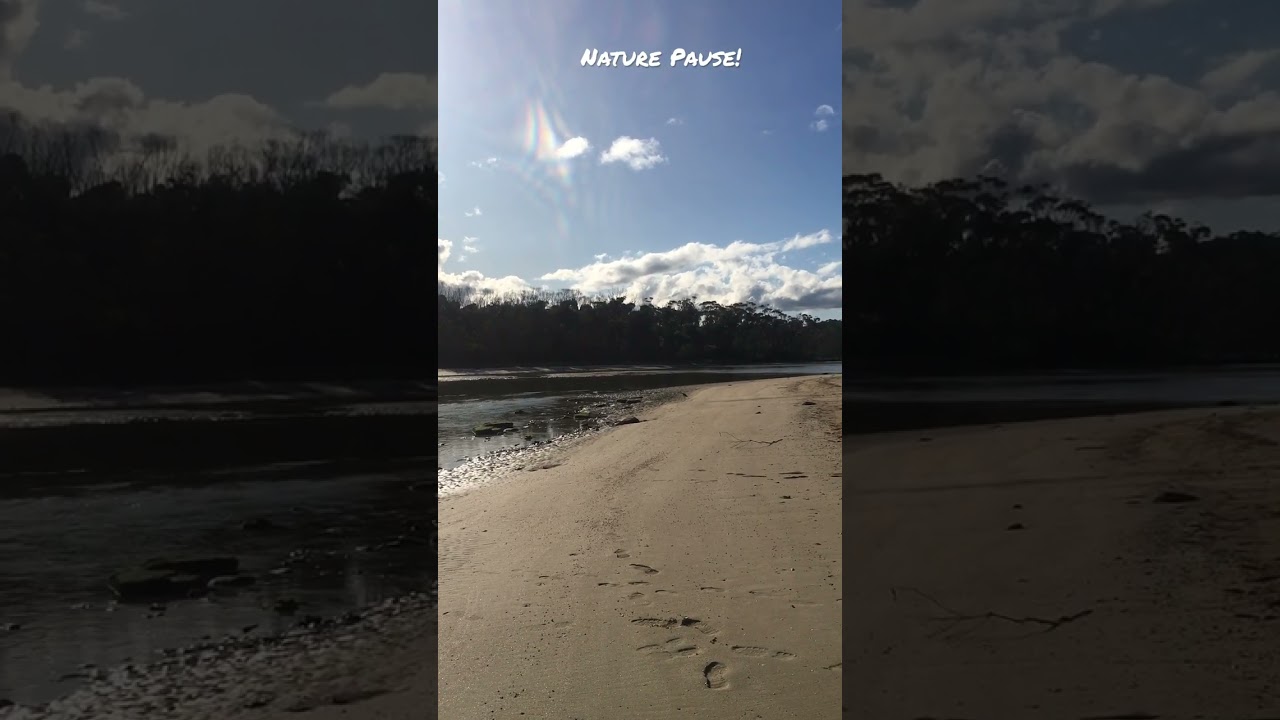 Nature Pause!🌏Go for a walk along the beach.🚶&zwj;♀️🚶#relax🧘&zwj;♀️#shorts❤️