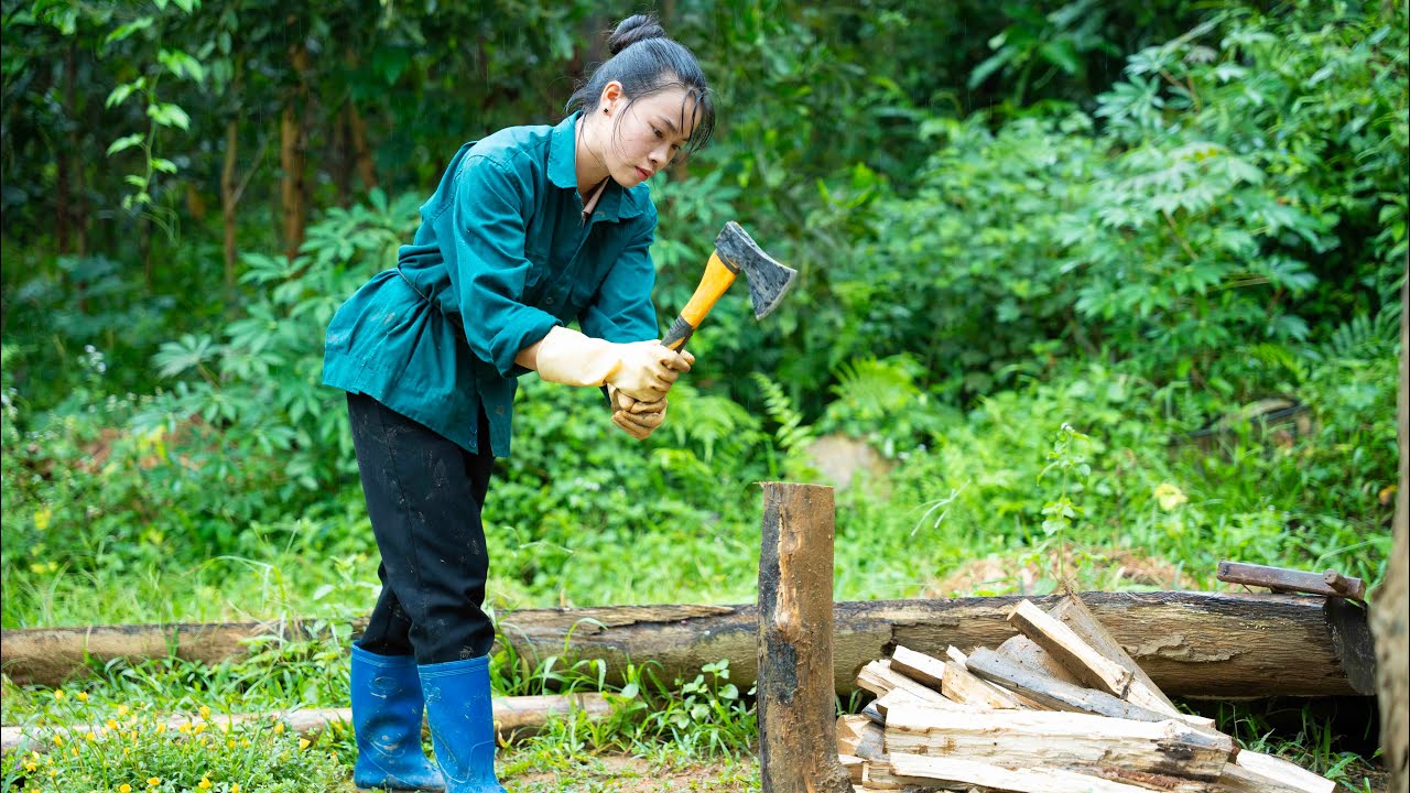 Gather Firewood, Prepare Food Reserves for Big Storm Wipha