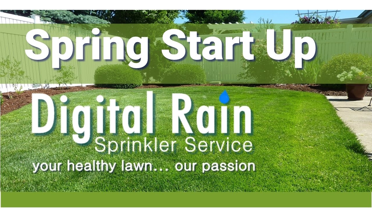 Sprinkler System Spring Start Up 2