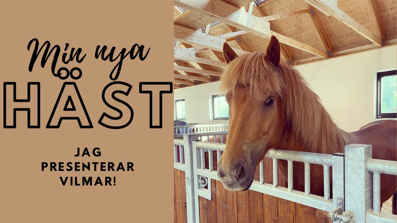 MIN NYA HÄST!
