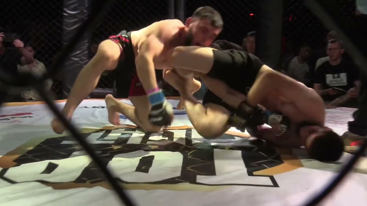 Top Fight Global 4
