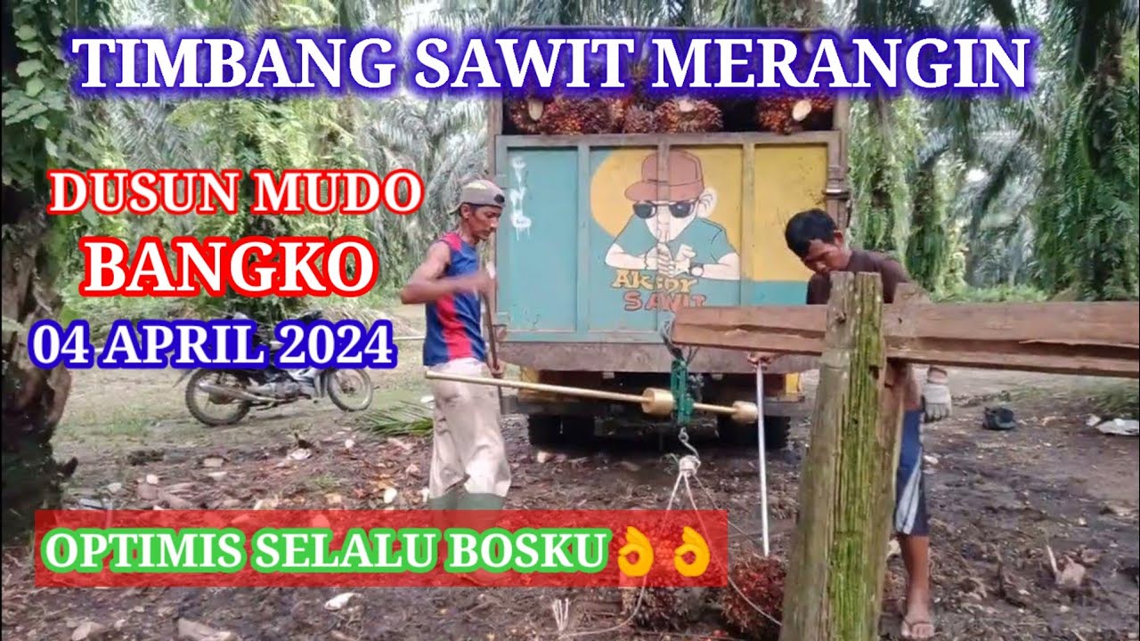 TOKE BARU NIMBANG SAWIT @Panensawit14