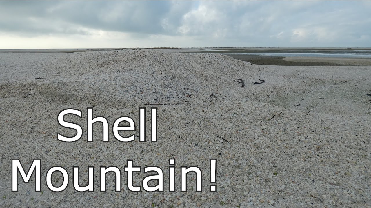 Beachcombing an Island Made of Shells!