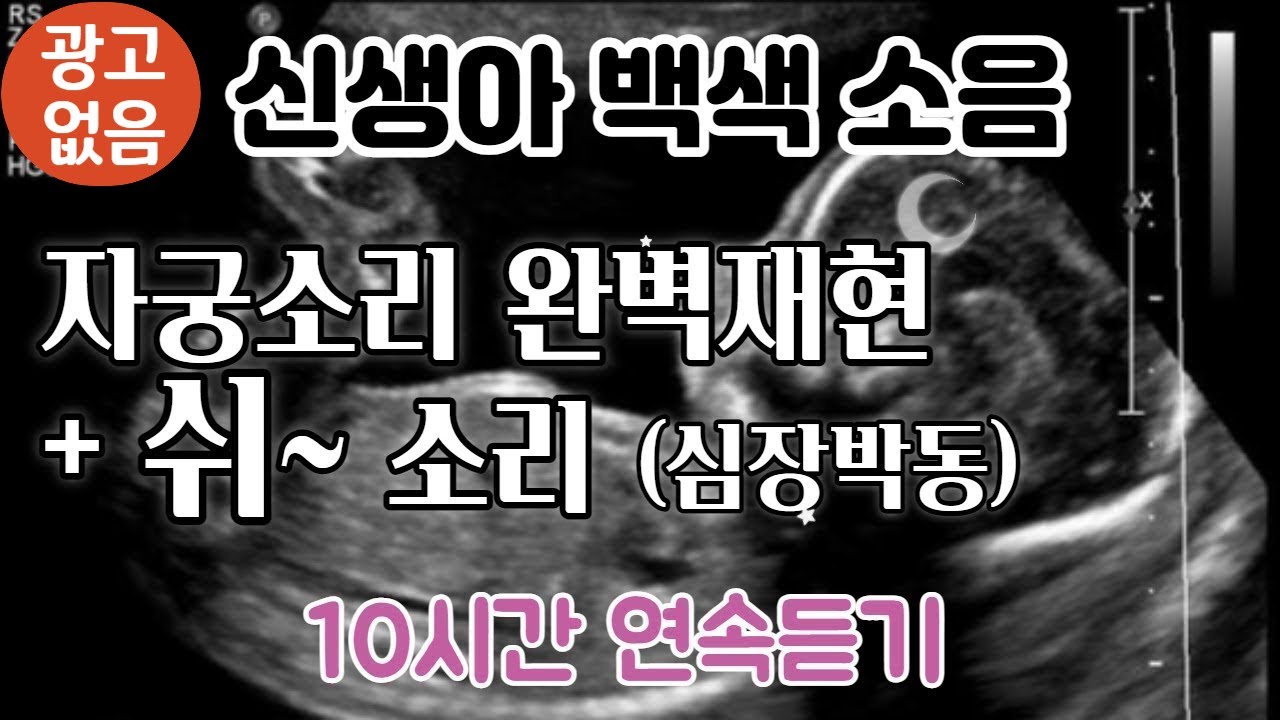 신생아 백색소음 자장가, 엄마 자궁 뱃속 소리  완벽재현 , 심장박동 + 쉬~소리 백색소음 (10시간연속듣기) ,Womb Sound with Shhh by 힐링메이트