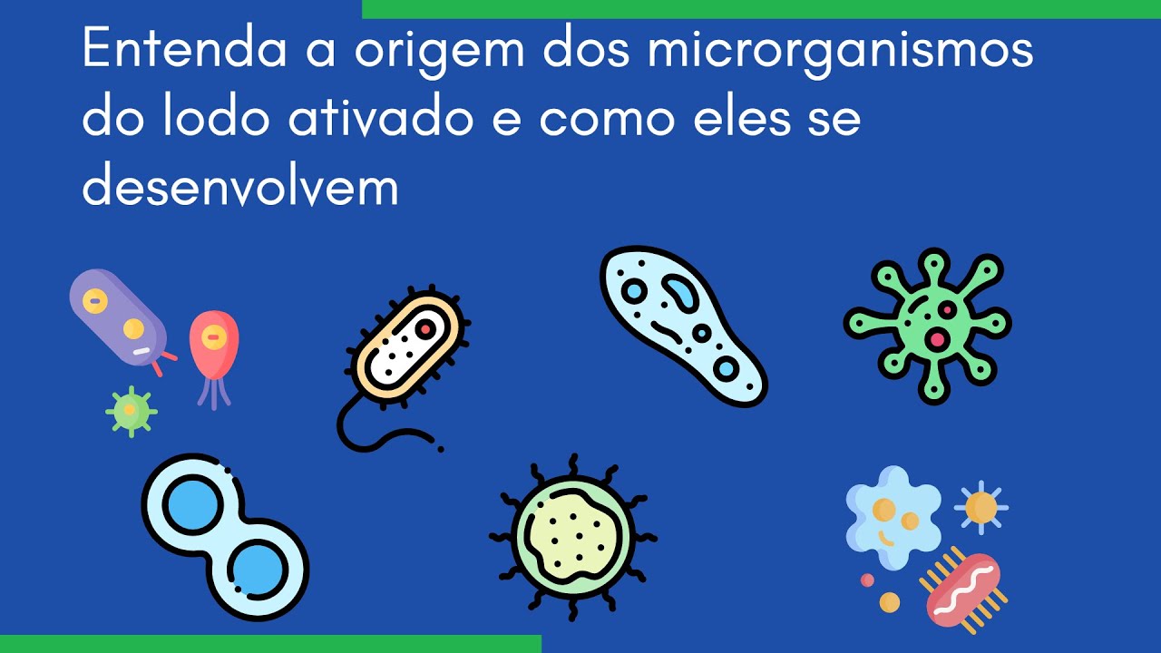 Entenda como os microrganismos se desenvolvem no Lodo Ativado | ACQUA EXPERT