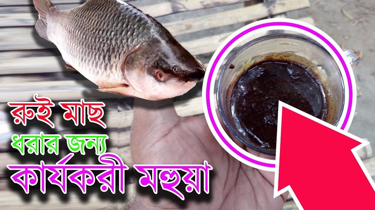 Rohu Fishing Bait & Chum Secret Mahua| রুই মাছের টোপ এবং চারের জন্য মহুয়া