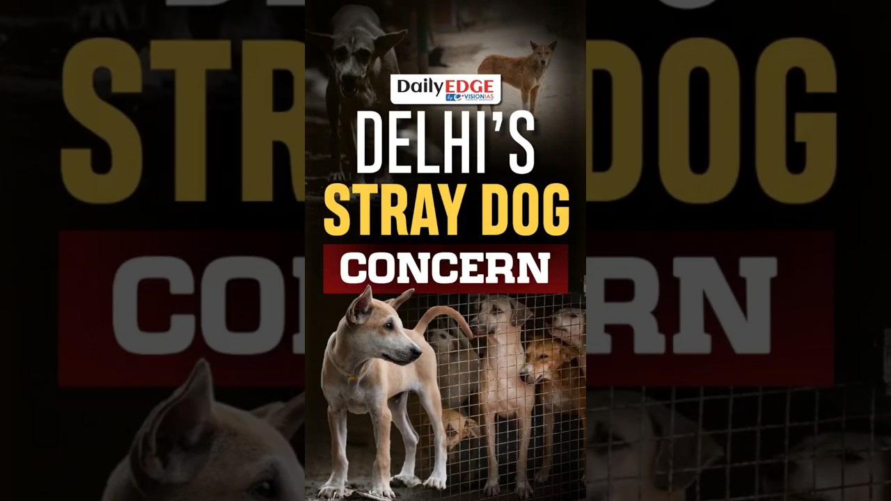 Daily Edge By VisionIAS | SC Orders Stray Dog Removal in Delhi Within 8 Weeks