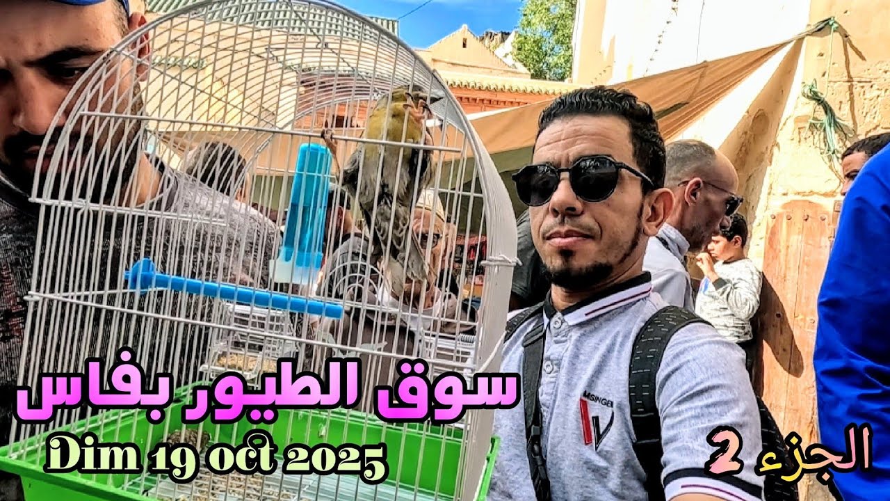 سوق الطيور بفاس باب الگيسة الجزء 2 طيور متنوعة ،هزار حداد بوح فيشر كالوبسيط حمام 