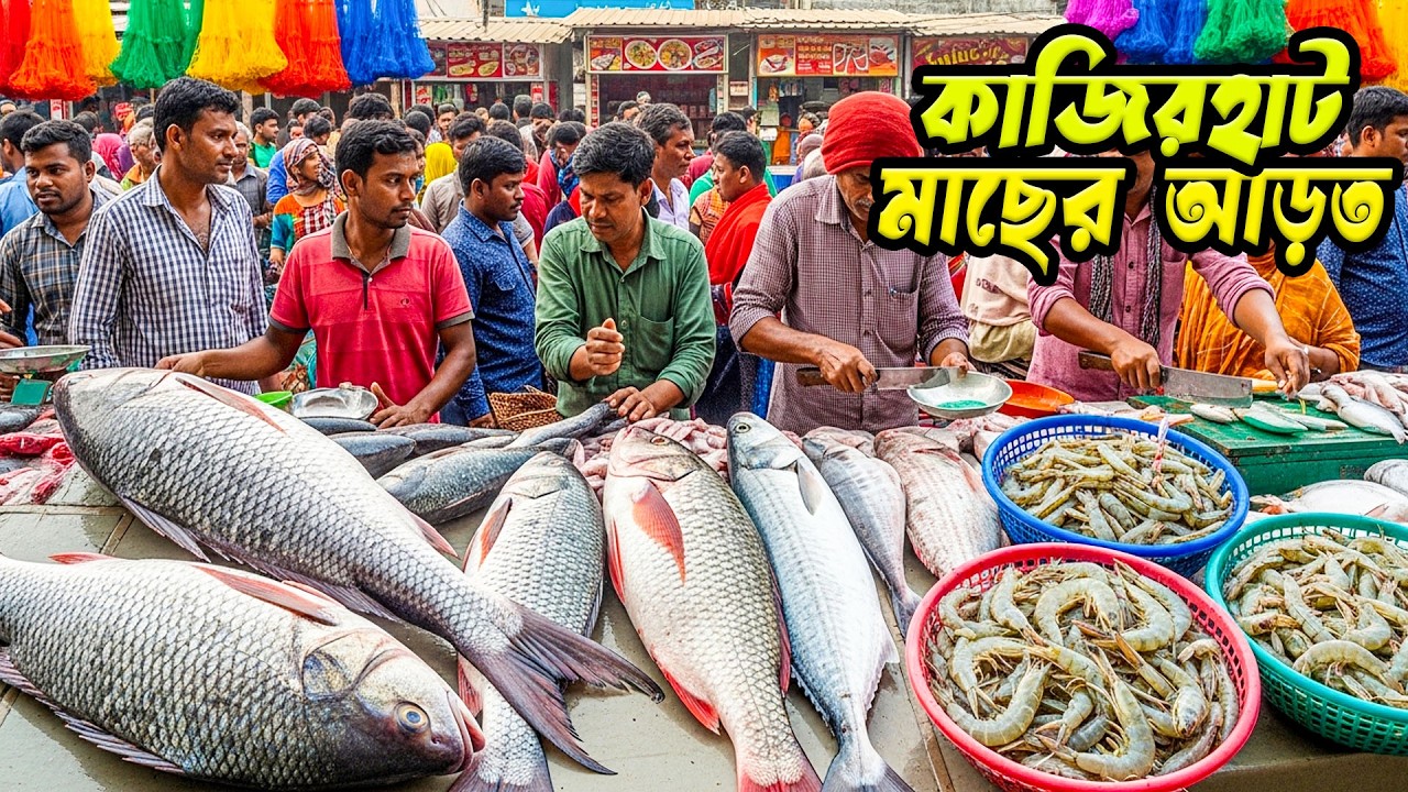 ইলিশের ছড়াছড়ি! রুই–কাতলা–পাঙ্গাসে ভরা পাইকারি ও খুচরা জমজমাট কাজির হাট, জাজিরা |Fish Market Kazirhat