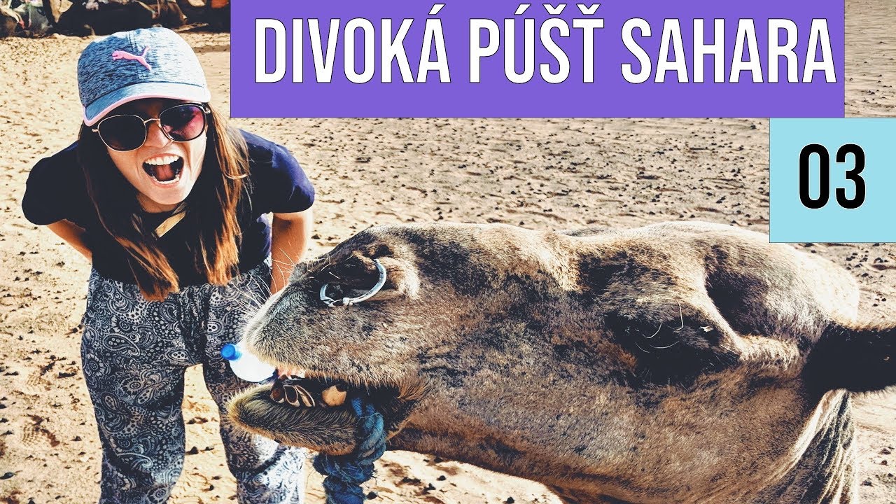 DIVOKÁ PÚŠŤ SAHARA | Nikky Now