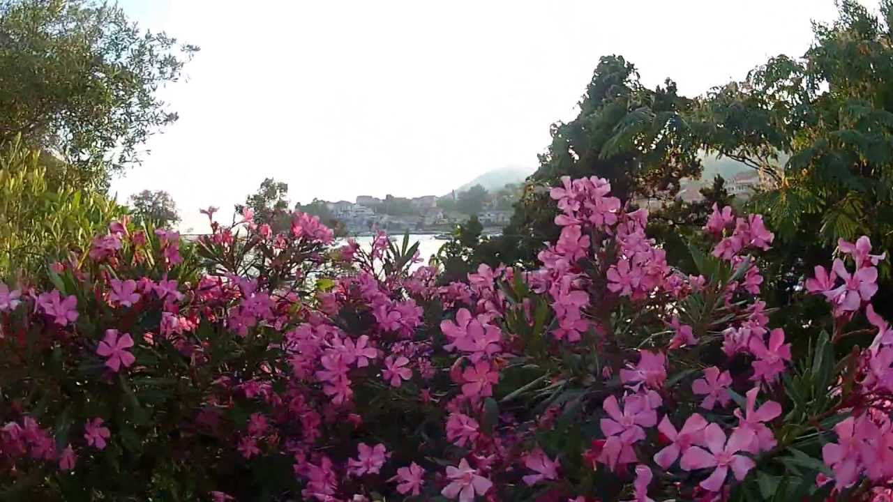 Brna Summer afternoon