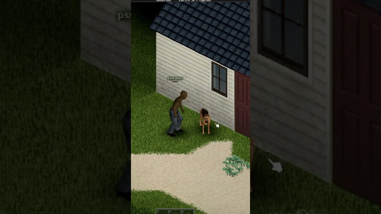 MOD DE PERROS PARA PROJECT ZOMBOID 