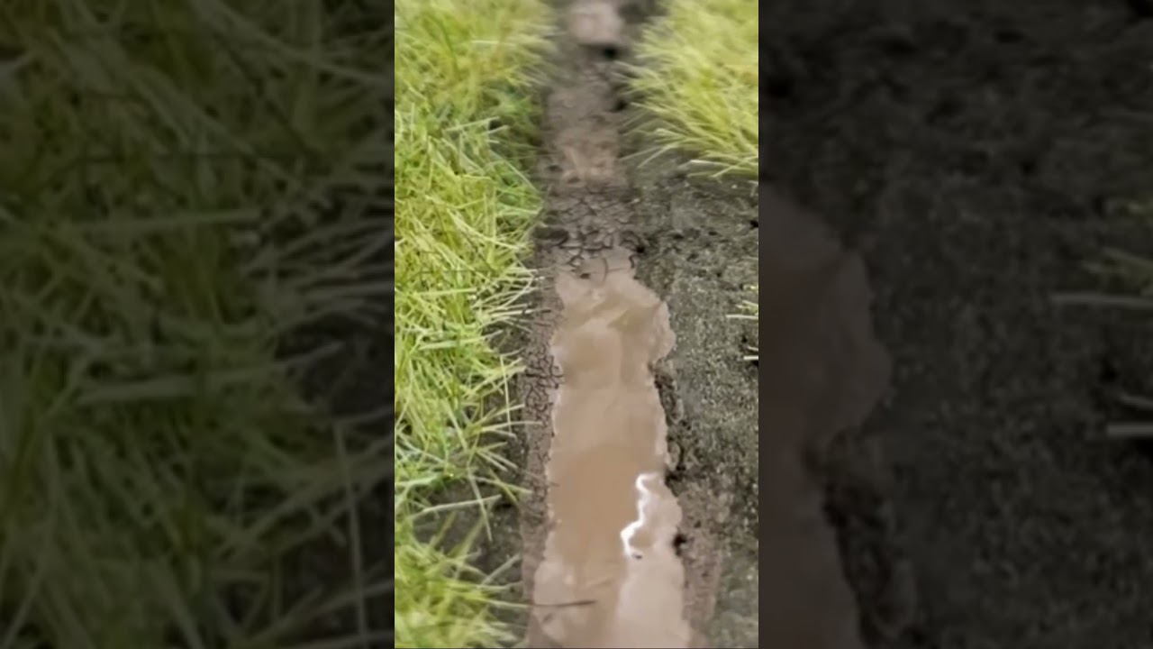Creating dried up puddles with Citadel technical paint.  It&rsquo;s just that easy for your model railway