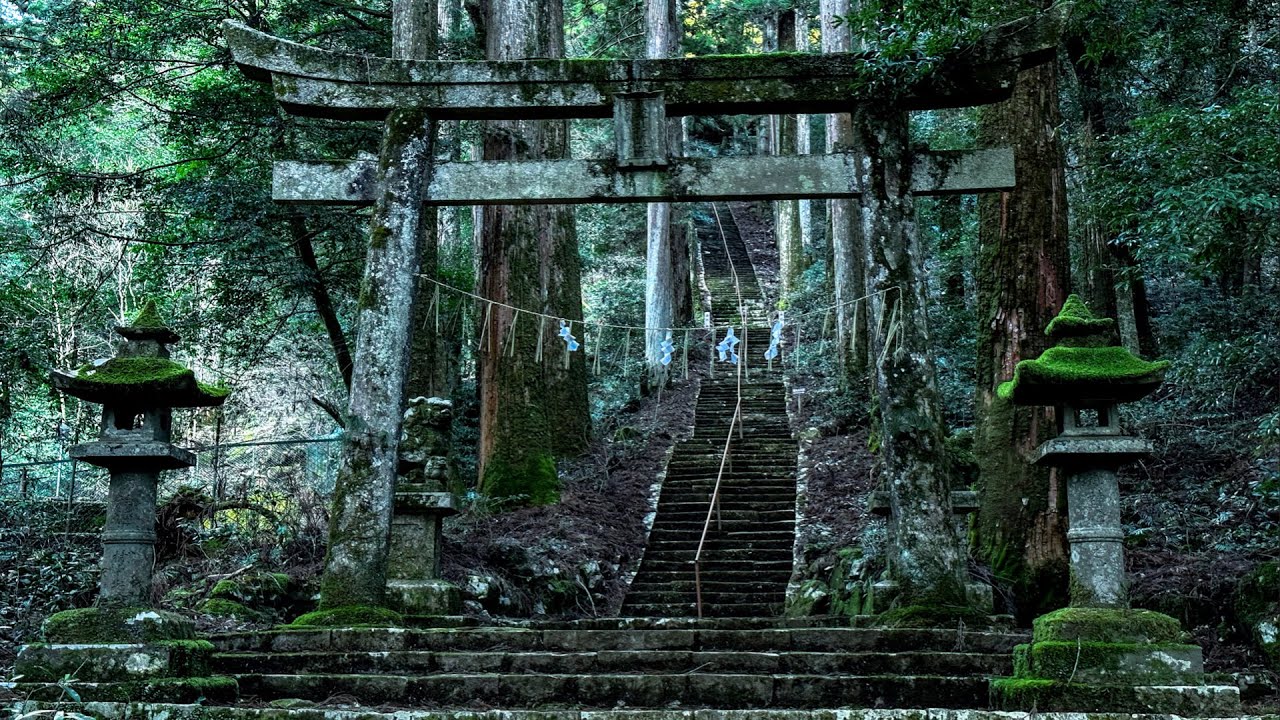 まるで異世界‼︎日本の美しすぎる寺社7選 / 幻想的な空間と神秘的なパワースポット / 死ぬまでに行きたい秘境の絶景、苔むした神社
